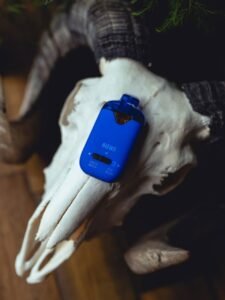 Truffle Butter x Blue Dream 2G Disposable Vape by Smoothie Bar Infusions Dual Chamber Device