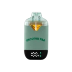 Buy G13 x Cinderella 99 2G Disposable by Smoothie Bar Infusions