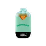 Buy Gelato 41 x Fritter Mintz 2G Disposable by Smoothie Bar Infusions