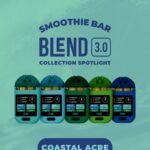 Smoothie Ber Blend 3.0 Coastal Acre Collection